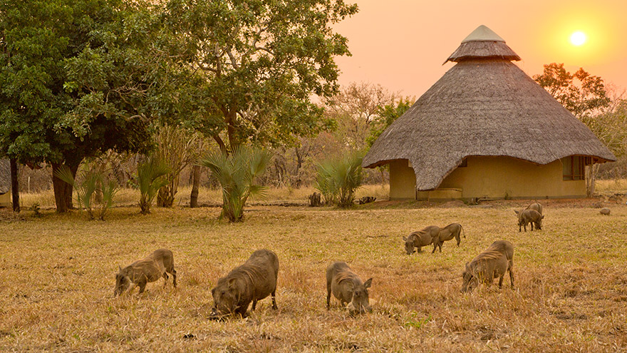 Two will spend five nights in Gorongosa National Park, Mozambique. 
